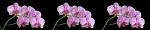 Столешница цифровая печать Орхидея, артикул 015