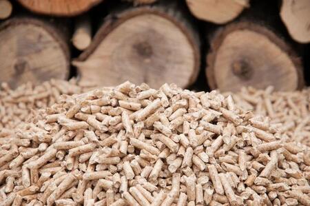 «Росатом» начал экспортные продажи биотоплива