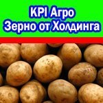 Картофель