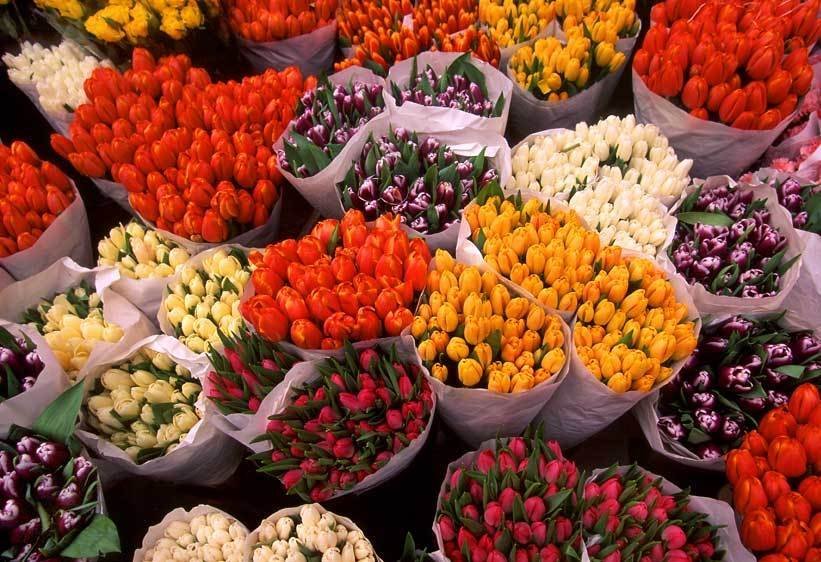 Цветы к 8 марта для любимых женщин
