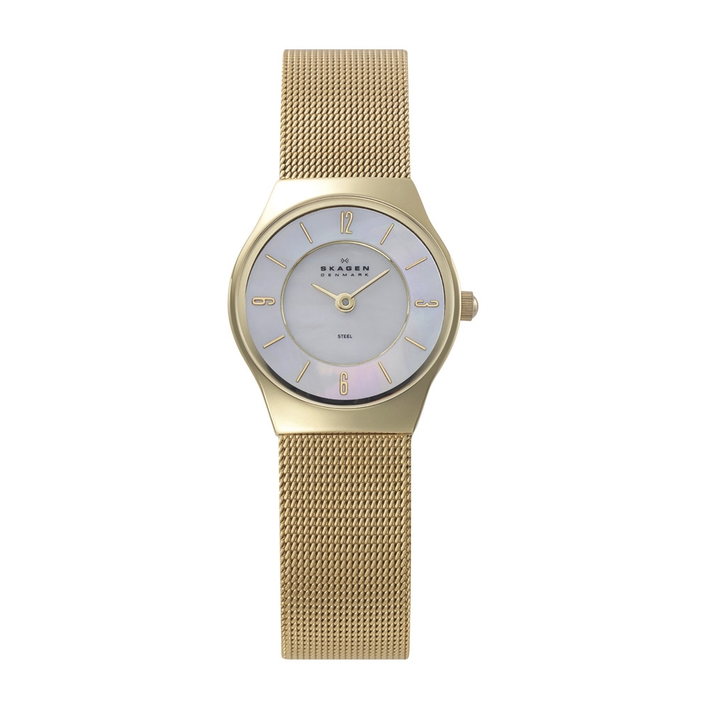 Часы наручные SKAGEN 233XSGG