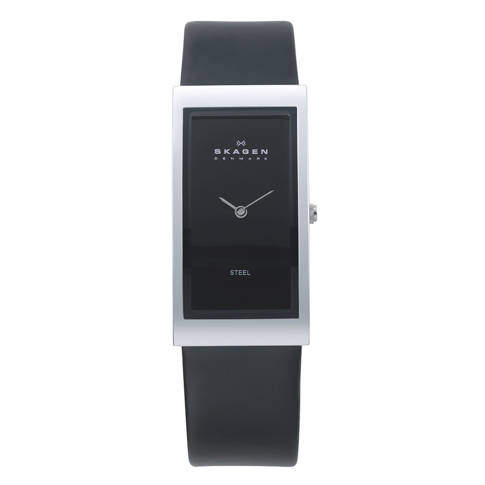 Часы наручные SKAGEN 359USLB