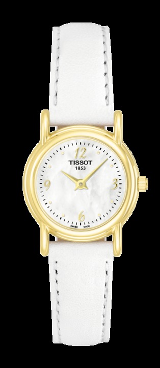 Часы наручные Tissot T71.3.130.74