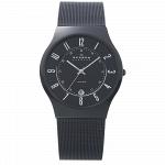 Часы наручные SKAGEN 233XLTMB