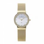 Часы наручные SKAGEN 358SGGD