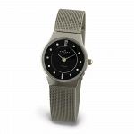 Часы наручные SKAGEN 233XSTTM