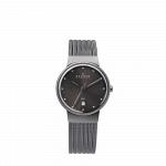 Часы наручные SKAGEN 355SMM1