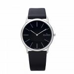 Часы наручные SKAGEN 858XLSLB