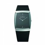 Часы наручные SKAGEN 584LSLM