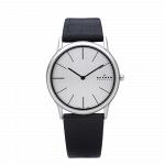 Часы наручные SKAGEN 858XLSLC