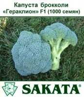 Капуста Брокколи Гераклион F1-1000 семян. Sakata