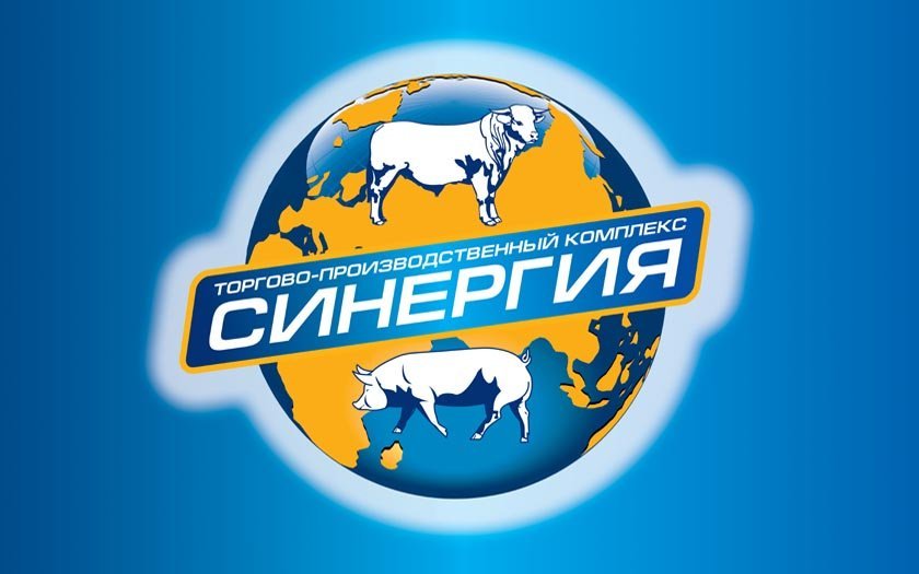 Ооо синергия