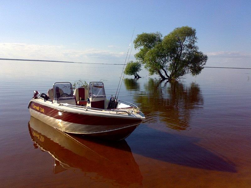 Продаем катера и лодки Corvet (Корвет).