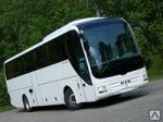 Автобус MAN Lion's COACH