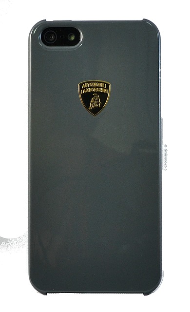 Крышка Lamborghini Diablo-D1 для iPhone 5 серая