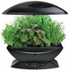 Домашняя фитоферма AEROGARDEN