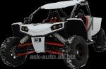 Багги БФР Кондор Buggy BFR Con