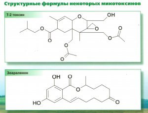 Хитолоза