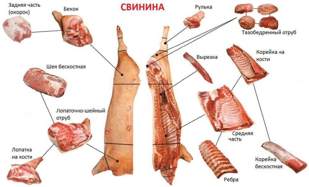 Схема туши свинины с указанием частей