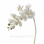 Орхидея белая 7A03N00011