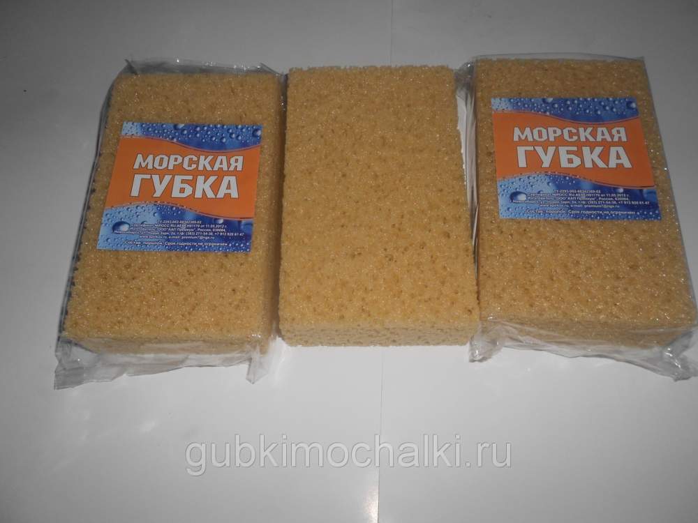 Губка мягкая Губка морская