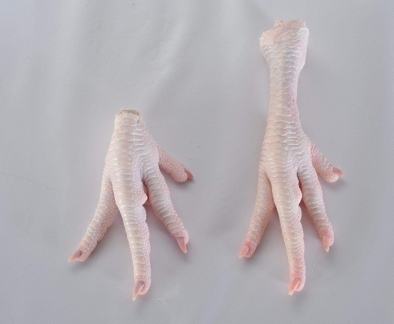 Фото куриной лапы с накрашенными ногтями