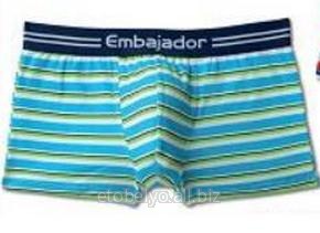 Шорты Embajador EEH 036