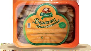 Вешенка 