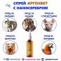 Спрей для кошек и собак «АргенВет» с наносеребром