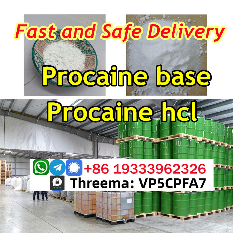 Procaine Procaina cas CAS 59-46-1 powder Chinese supplier