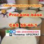 Procaine Procaina cas CAS 59-46-1 powder Chinese supplier