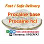 Procaine Procaina cas CAS 59-46-1 powder Chinese supplier