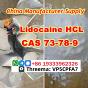 Lidocaine CAS 73-78-9 Lidocaine hydrochloride provide Sample