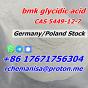 Tele@rchemanisa Bmk Glycidic Acid CAS 5449-12-7/41232-97-7 BMK