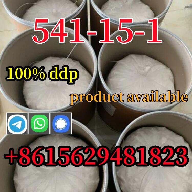 High quality in-house L-carnitine salt 99% purity CAS 541-15-1, affordable price.