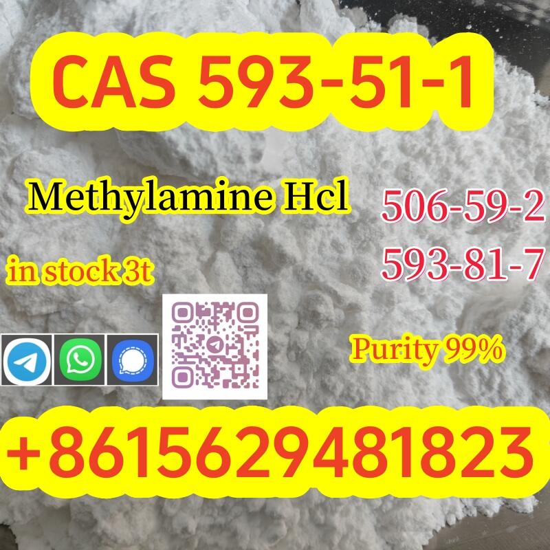 Buy High Quality CAS 593-51-1 Methylamine Hydrochloride at Best Price