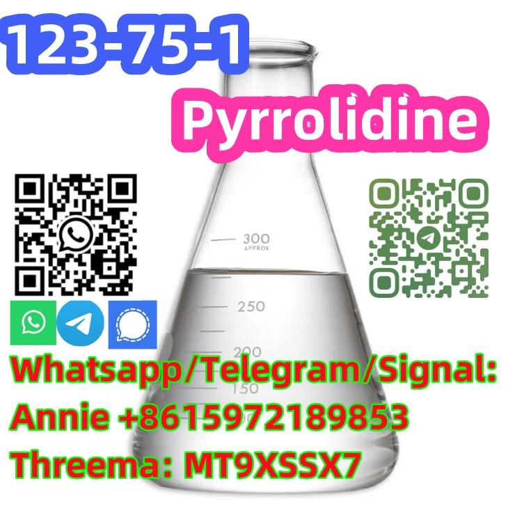 High quality and fast delivery Pyrrolidine CAS 123-75-1 made in China