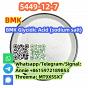 Buy Cas 5449-12-7 BMK Glycidic Acid (sodium salt) have a lot of stock