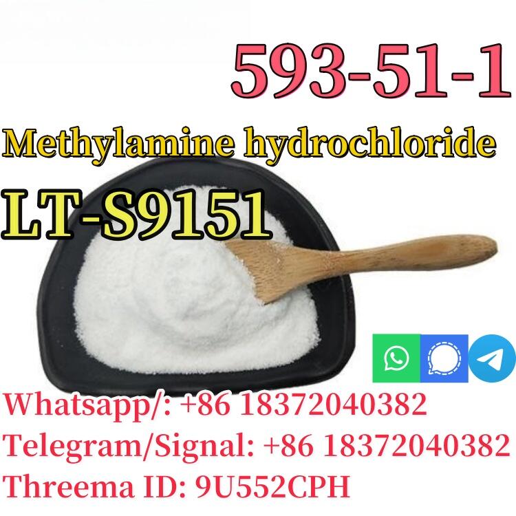 CAS 593-51-1 Methylamine hydrochloride LT-S9151 good price with high quality