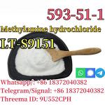 CAS 593-51-1 Methylamine hydrochloride LT-S9151 good price with high quality