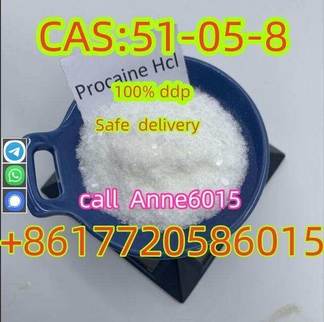 procaine powder Supply Procaine Hydrochloride / Procaine HCl Supplier CAS 51-05-8 for Local Anesthet