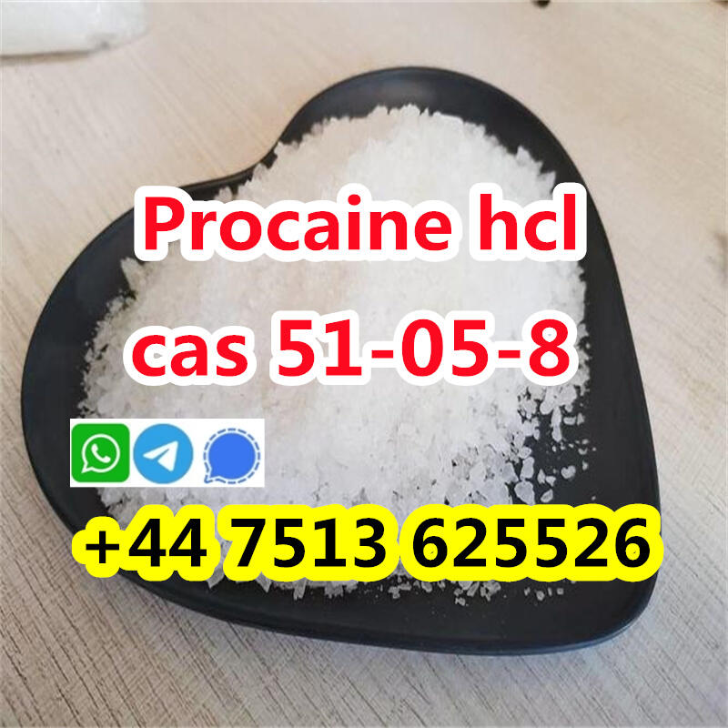 high purity cas 51-05-8 Procaine Hcl Procaine Hydrochloride global ship