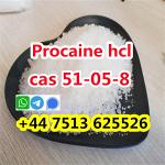 high purity cas 51-05-8 Procaine Hcl Procaine Hydrochloride global ship - Раздел: Медицинские товары, фармацевтическая продукция