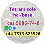 cas 5086-74-8 tetramisole hcl base strong effect export to Europe