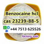 cas 23239-88-5 Benzocaine Hydrochloride hcl factory direct supply - Раздел: Медицинские товары, фармацевтическая продукция