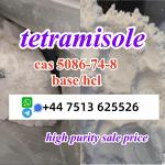 cas 5086-74-8 tetramisole hcl base powder door to door ship worldwide