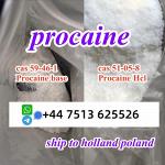 cas 59-46-1 Procaine base powder Procaine Hcl safe ship to Holland Poland