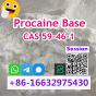 Procaine CAS 59-46-1 Procaine Base Fast and Reliable Service