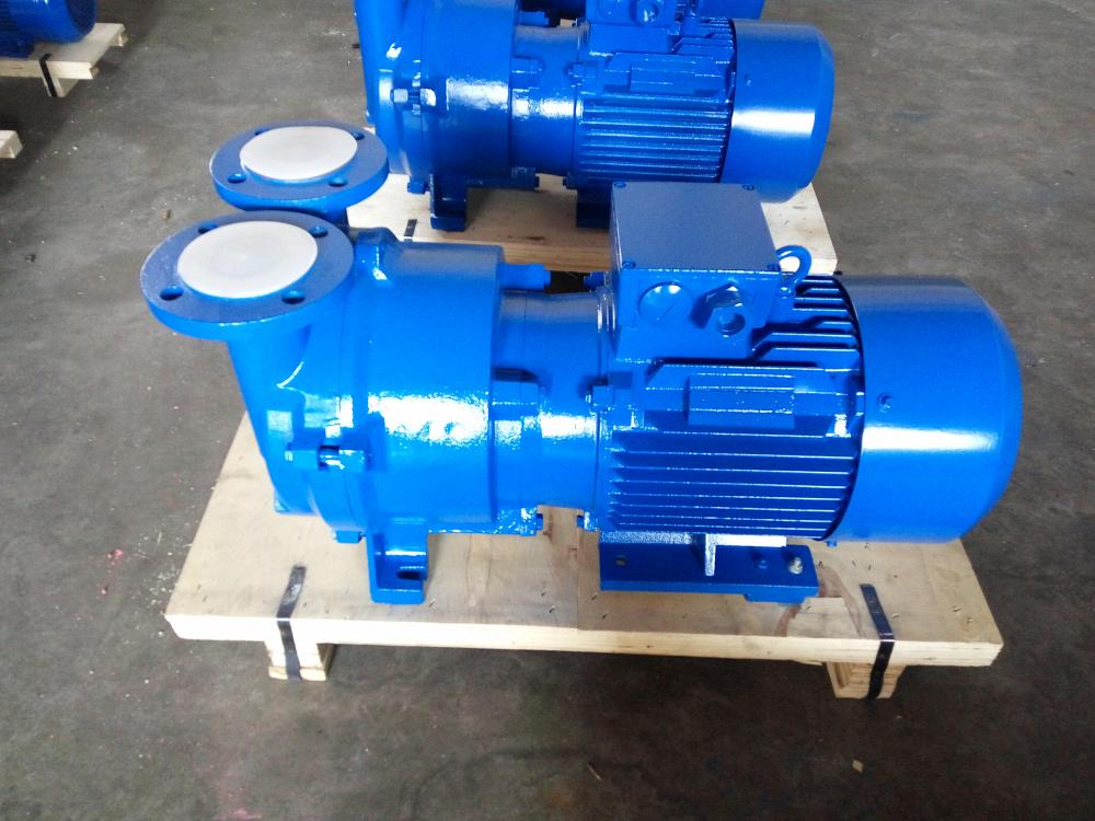 2BV2 071 Water Ring Vacuum Pump