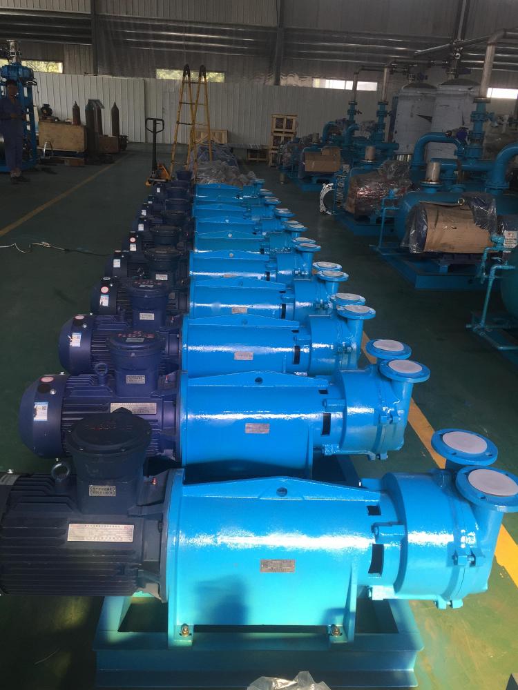 2BV2 070 Water Ring Vacuum Pump for Mine